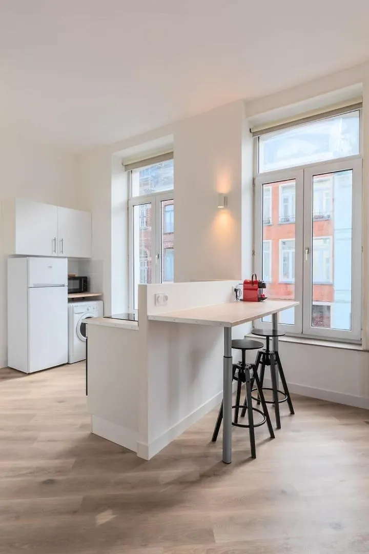Spacious And Bright Studio In The Center. Lilla